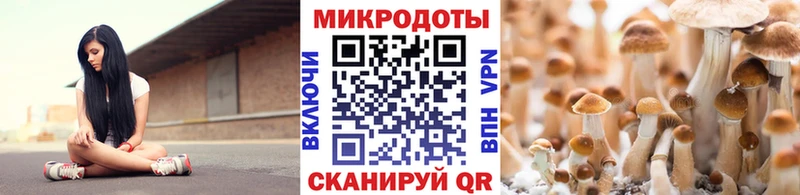 Псилоцибиновые грибы Magic Shrooms  Кулебаки 