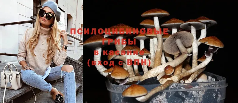 Галлюциногенные грибы MAGIC MUSHROOMS  наркота  hydra сайт  Кулебаки 