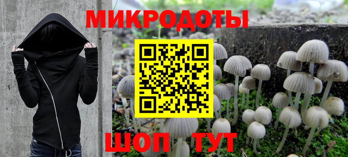 Кулебаки  Галлюциногенные грибы ЛСД  Вход с VPN 